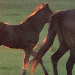 Horse Sunset Art Poster - Click Image to Close