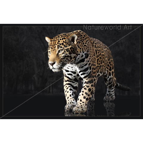 Jaguar Legend