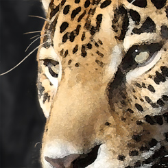 Jaguar Legend - Click Image to Close