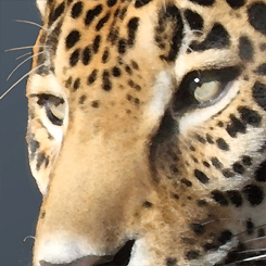Jaguar Power - Click Image to Close
