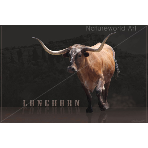 Longhorn Power H - Click Image to Close