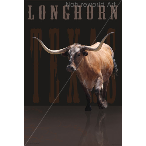 Longhorn Power V