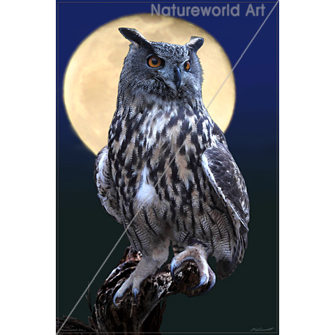 Eagle Owl Watercolor Poster with Moon - Click Image to Close