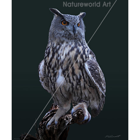 Eagle Owl Watercolor Print - Click Image to Close