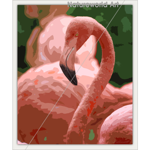 Flamingo Pose Art Print - Click Image to Close