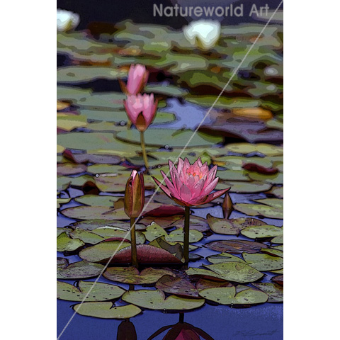 Lily Pad Photo Art Poster - Click Image to Close