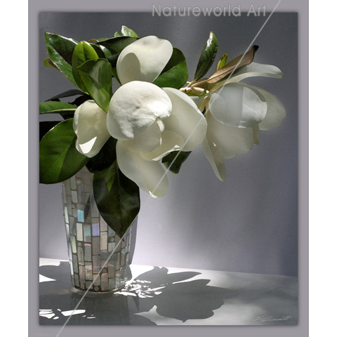 Magnolia Bouquet Print - Click Image to Close