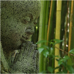 Bamboo Buddha Print - Click Image to Close