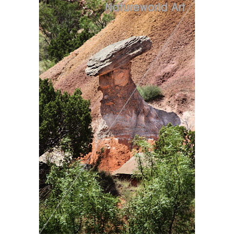 Canyon Rock Art Poster - Click Image to Close