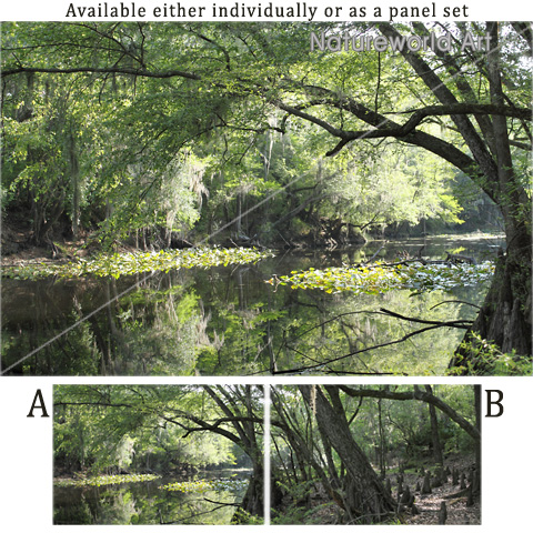 Cypress River A Part Poster - Click Image to Close