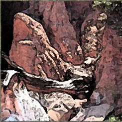 Painted Canyon Art Print
