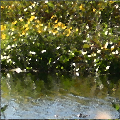 Prairie in Bloom Art Print - Click Image to Close