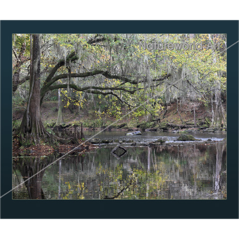 River Serenity Print - Click Image to Close